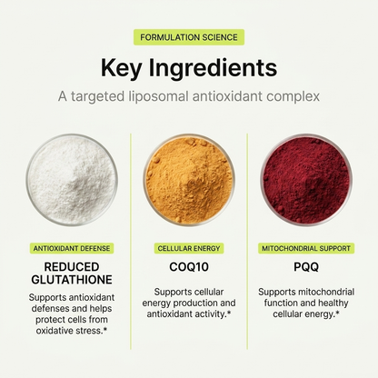 Support Your Skin & Gut From Within with Liposomal Glutathione
